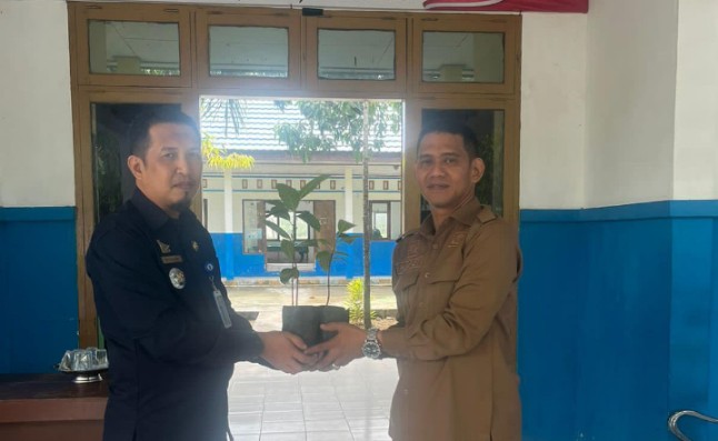 Bupati majene